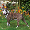 image Bull Terriers 2025 Wall Calendar  Main Image