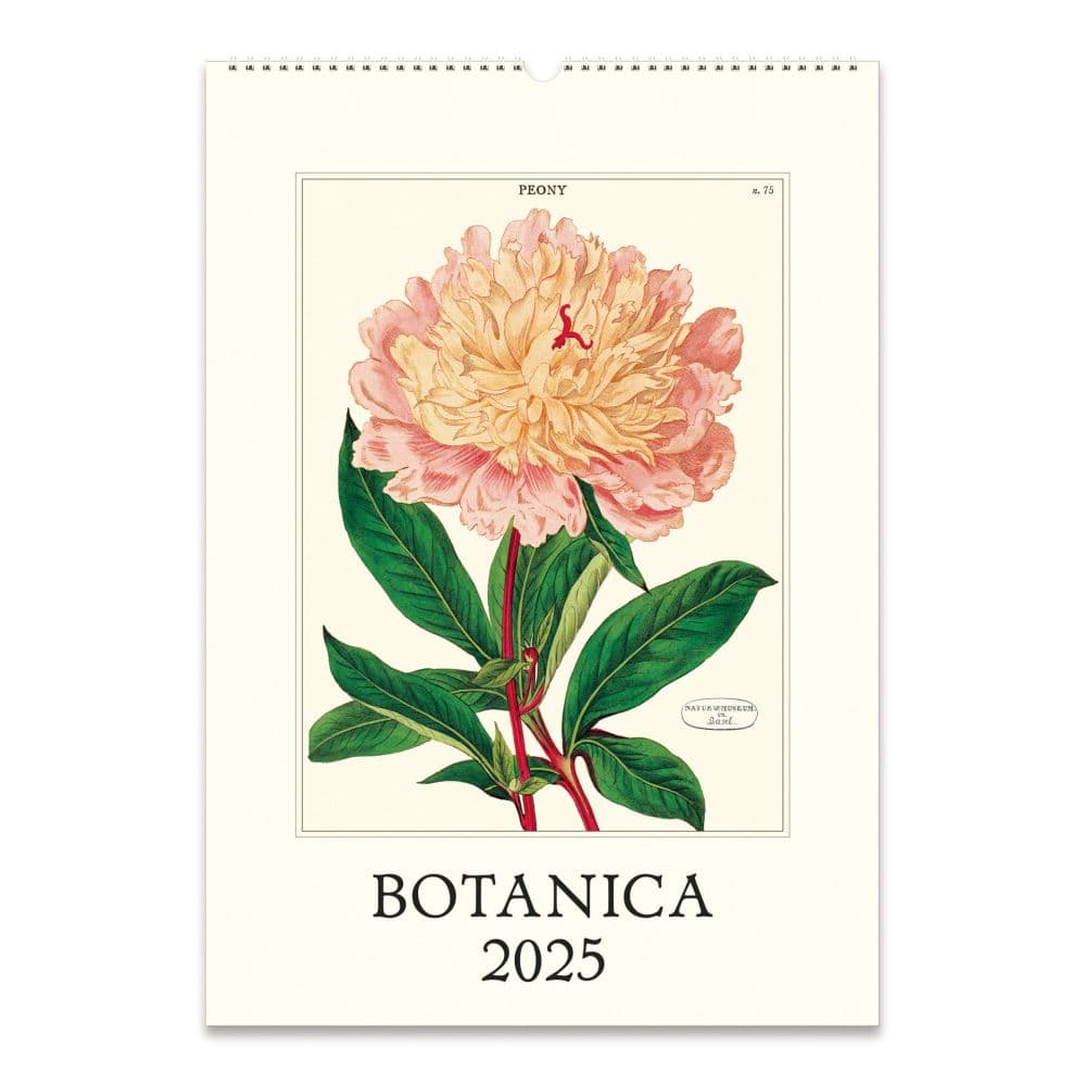 Botanica Art Poster 2025 Wall Calendar - Calendars.com