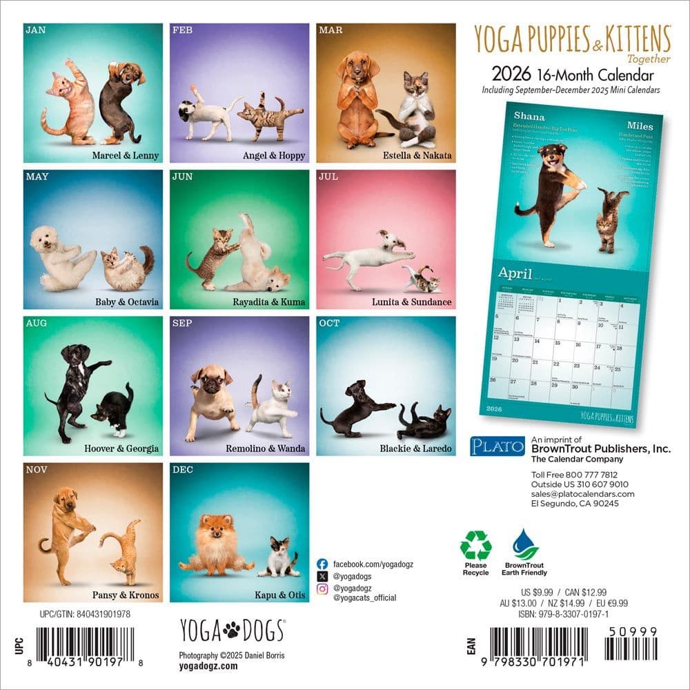 Yoga Puppies and Kittens 2026 Mini Wall Calendar First Alternate Image
