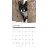 image Just Boston Terriers 2026 Wall Calendar Second Alternate Image