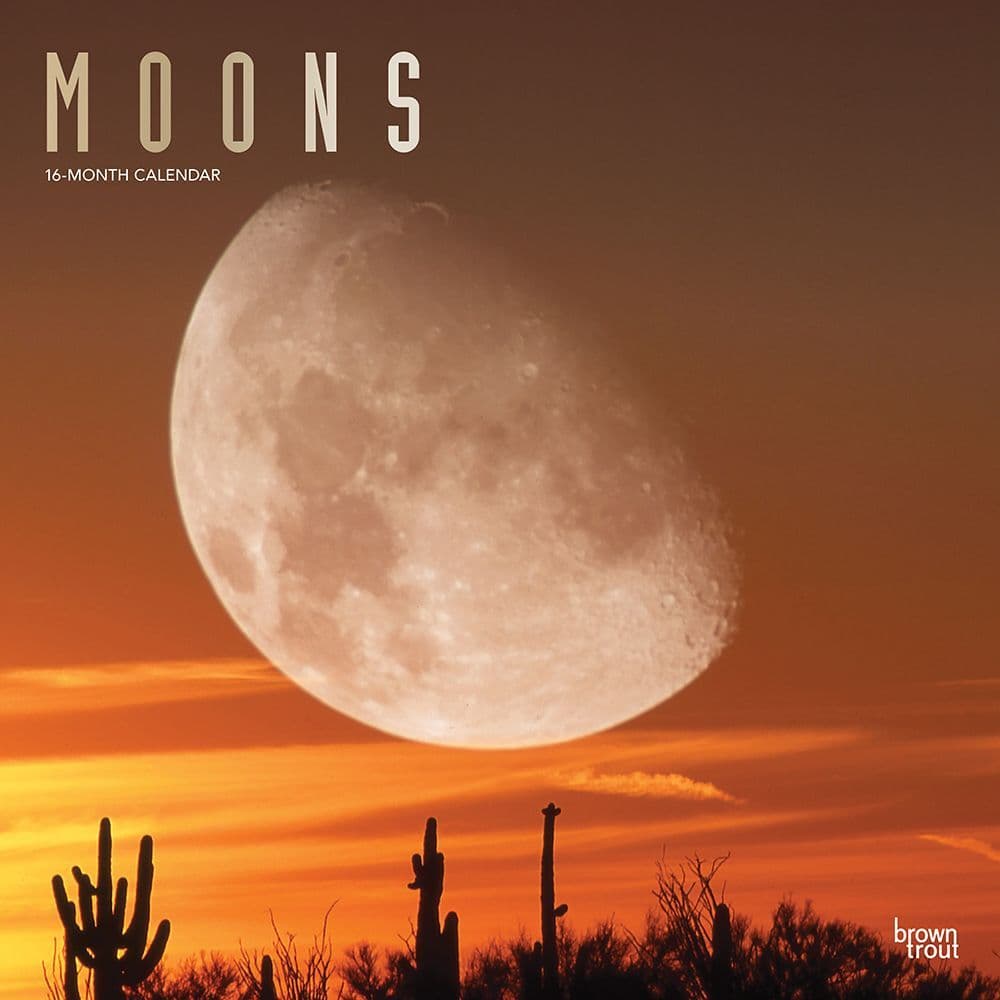 Moons Wall Calendar