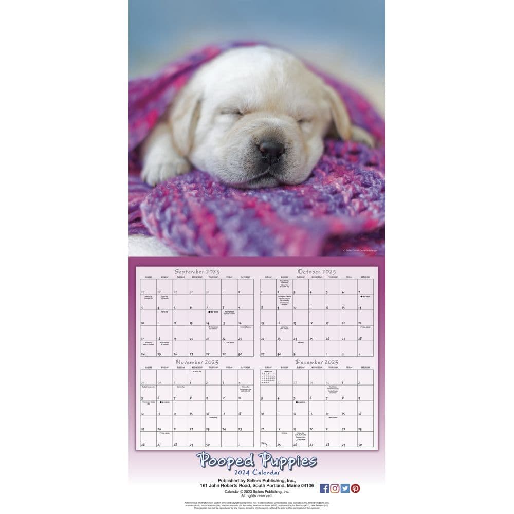 Pooped Puppies 2024 Wall Calendar Alternate Image 4