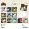 image Pugs 2025 Wall Calendar First Alternate Image