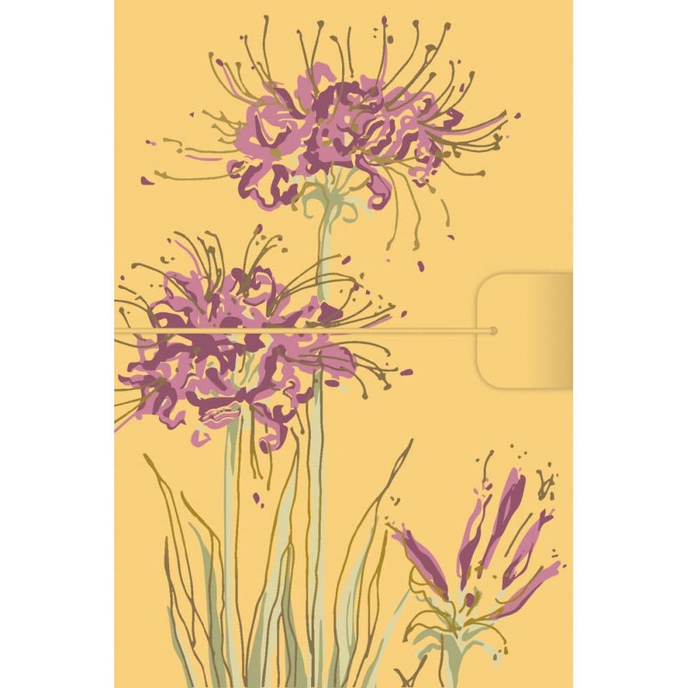 Euphoria Petite Journal by Susan Winget Main Image