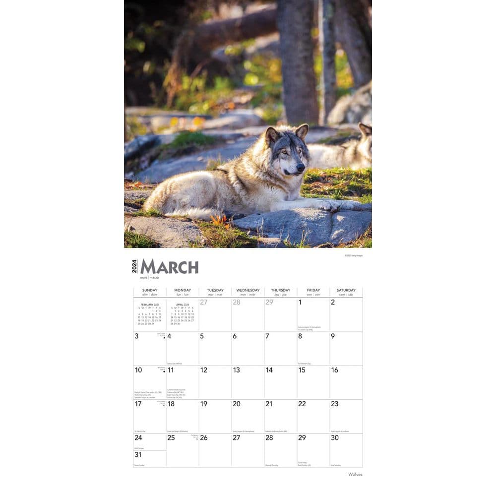 Wolves 2024 Wall Calendar