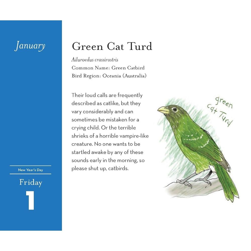 Field Guide to Dumb Birds 2027 Desk Calendar Third Alternate Image