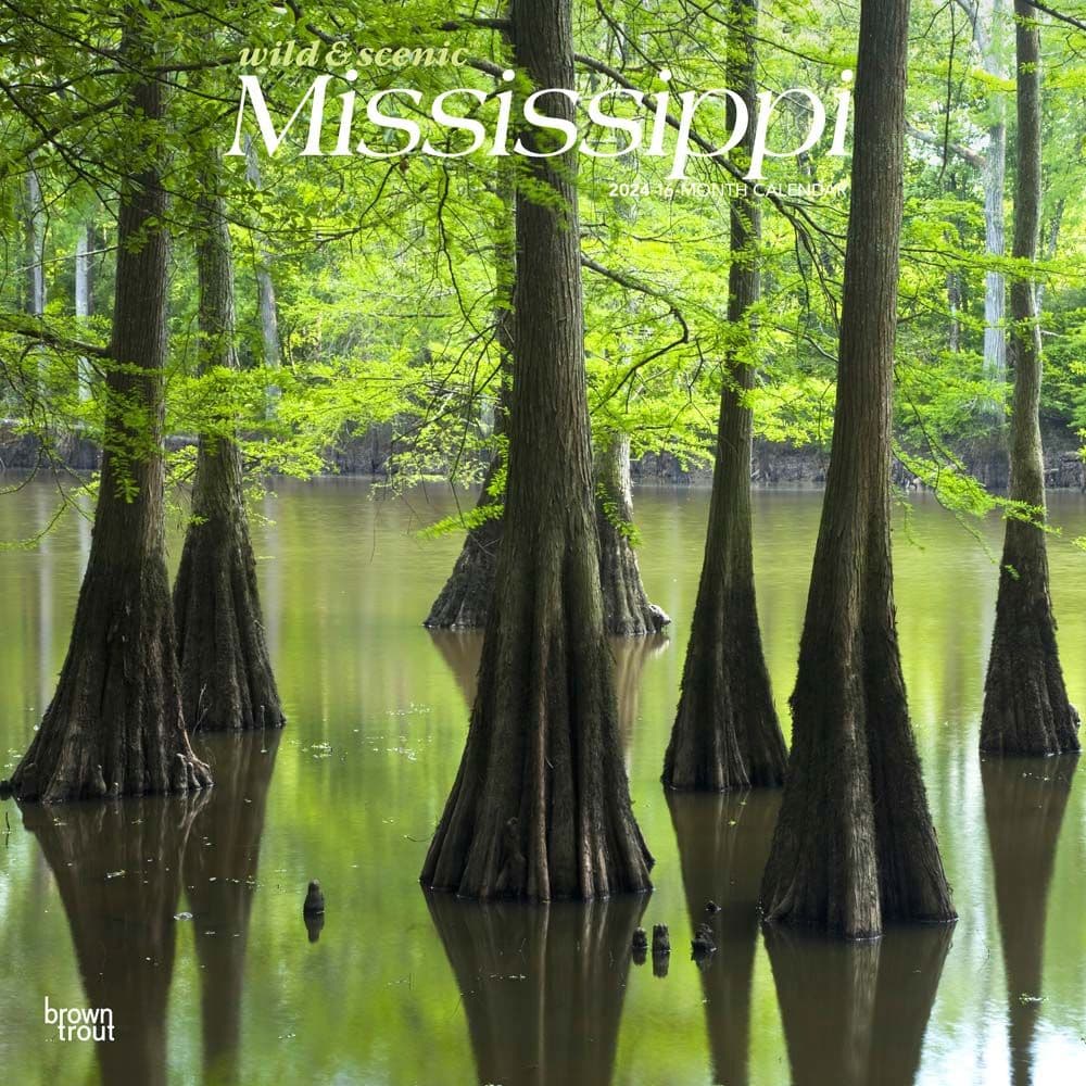 Mississippi Wild and Scenic 2024 Wall Calendar Main Product Image width=&quot;1000&quot; height=&quot;1000&quot;