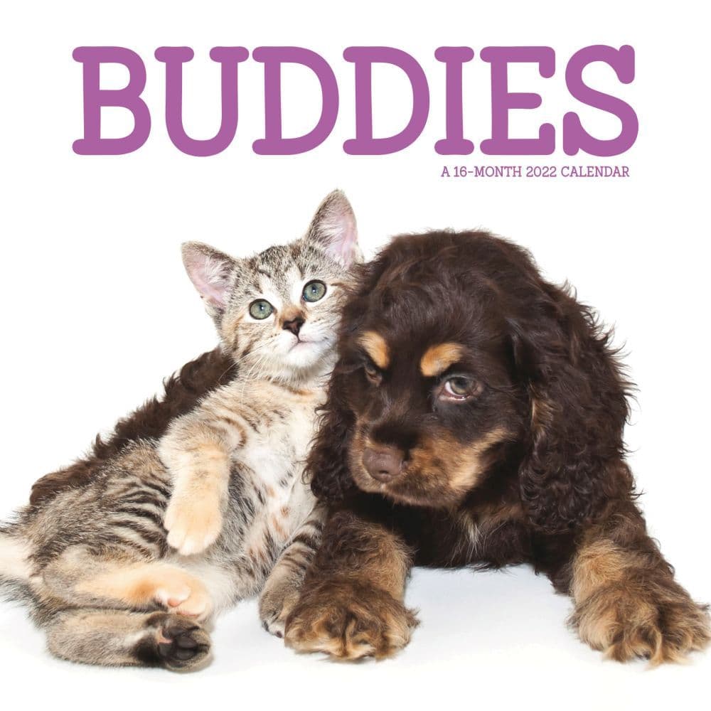Buddies Small 2022 Mini Wall Calendar