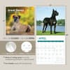 image Great Danes 2025 Wall Calendar Seventh Alternate Image