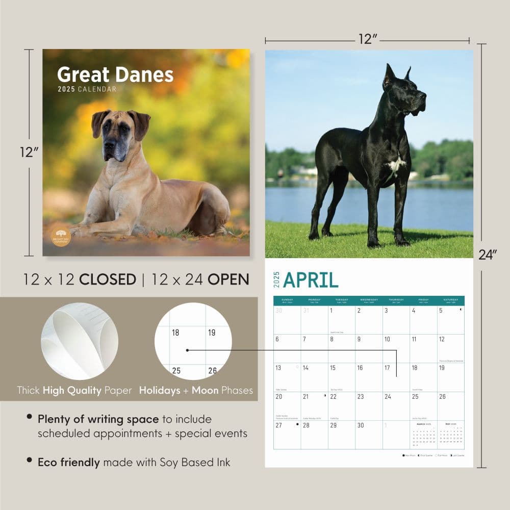 Great Danes 2025 Wall Calendar Seventh Alternate Image