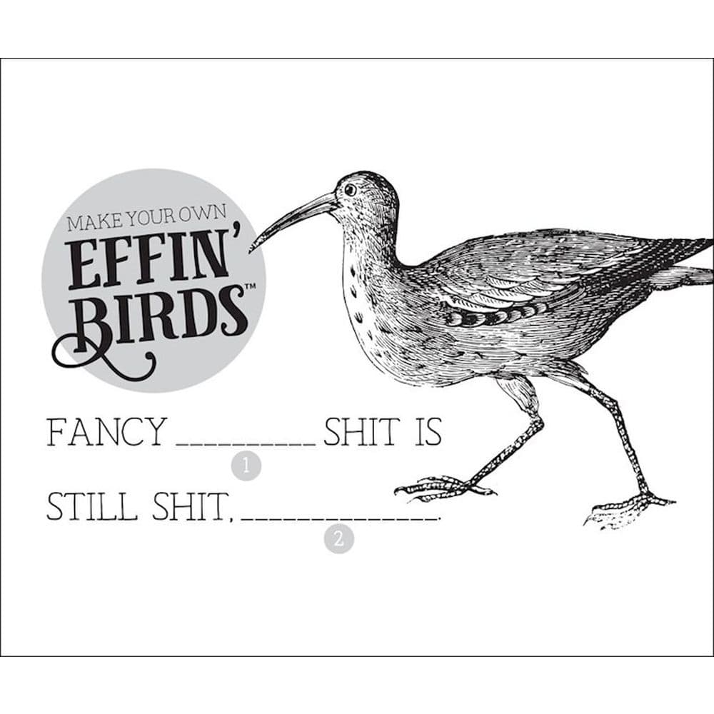Effin Birds 2026 Desk Calendar Fourth Alternate Image