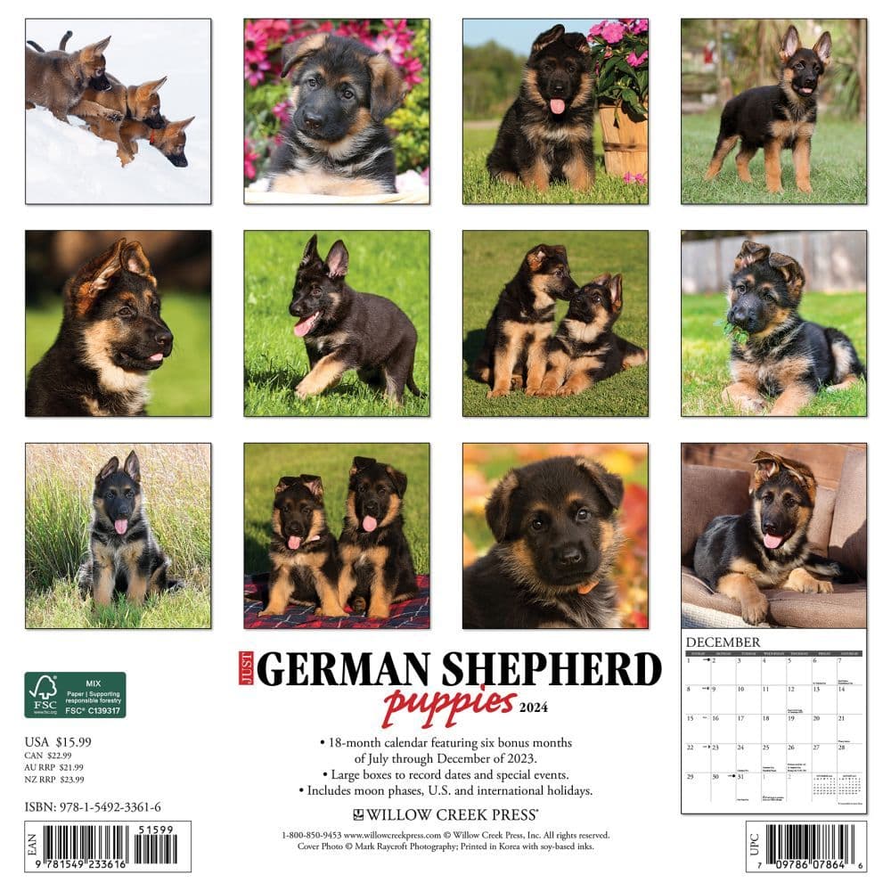Just German Shepherd Puppies 2024 Wall Calendar Alternate Image 1