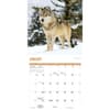 image Wolves 2025 Wall Calendar Second Alternate Image width=&quot;1000&quot; height=&quot;1000&quot;