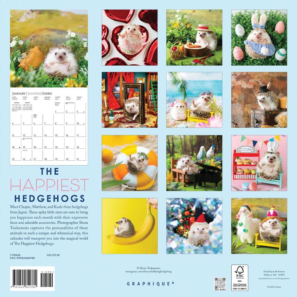 Happiest Hedgehogs 2026 Wall Calendar First Alternate Image