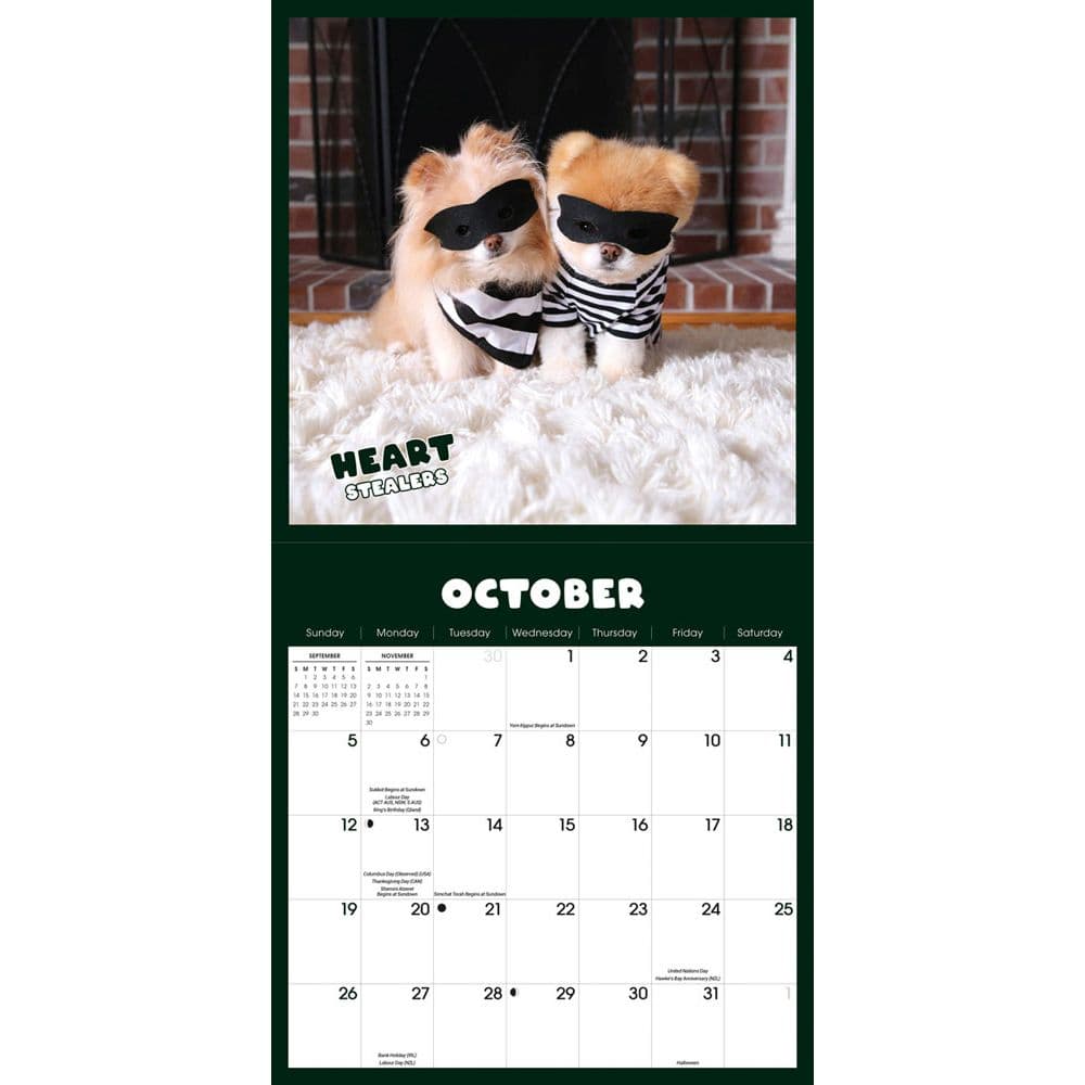 Boo 2025 Wall Calendar Fourth Alternate Image width="1000" height="1000"