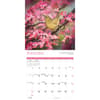 image Songbirds 2025 Wall Calendar Fourth Alternate Image width=&quot;1000&quot; height=&quot;1000&quot;