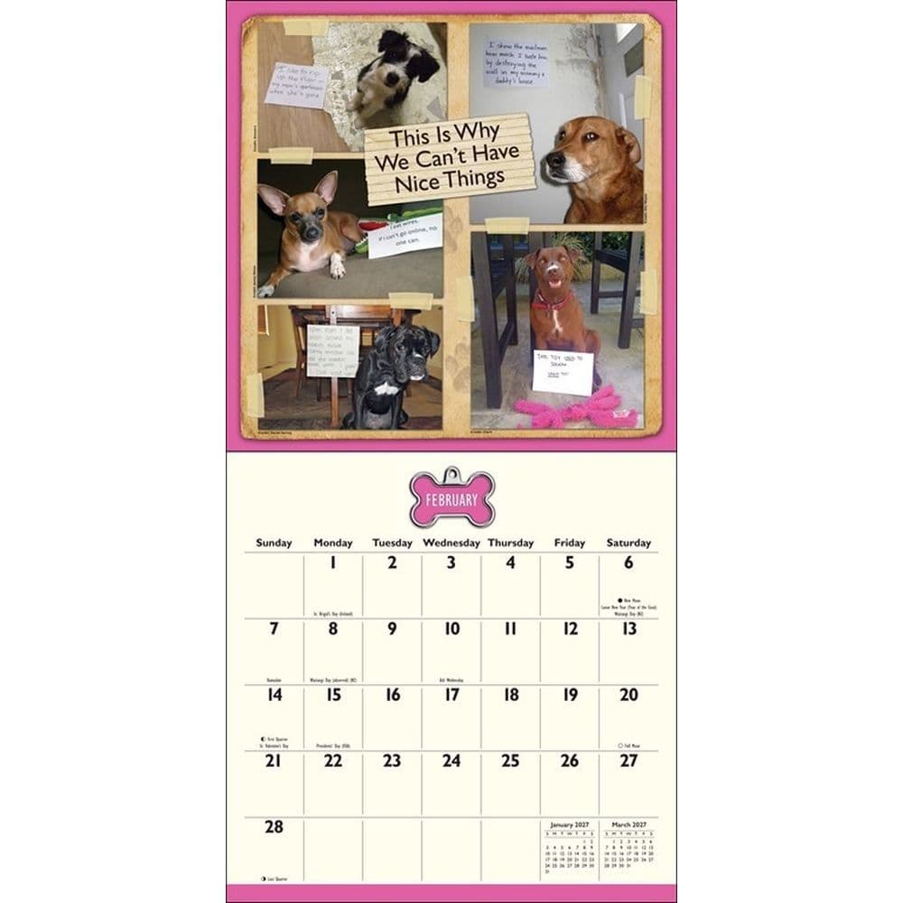 Dog Shaming 2027 Wall Calendar Third Alternate Image