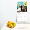 image Honey Bunny 2024 Wall Calendar Third Alternate Image width=&quot;1000&quot; height=&quot;1000&quot;