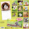 image Rabbits 2024 Wall Calendar First Alternate Image width=&quot;1000&quot; height=&quot;1000&quot;