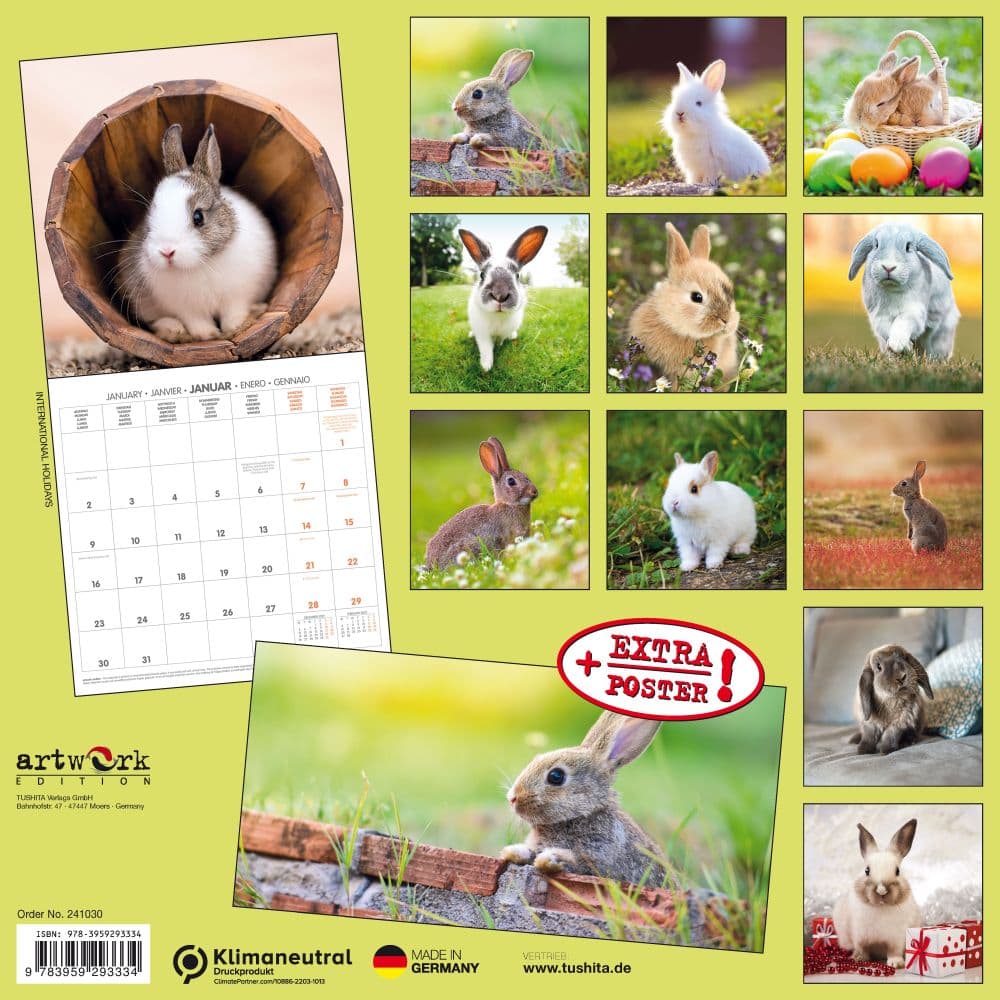 Rabbits 2024 Wall Calendar First Alternate Image width=&quot;1000&quot; height=&quot;1000&quot;