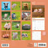 image Mini Pigs 2025 Wall Calendar First Alternate Image width=&quot;1000&quot; height=&quot;1000&quot;