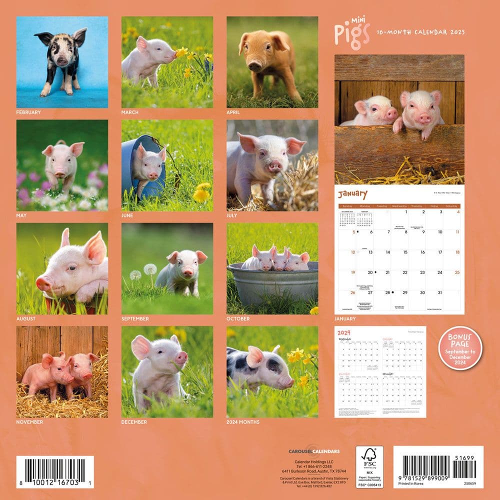 Pig Full Wall Calendar 2025