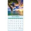 image Tropical Islands Special Value 2025 Wall Calendar Fourth Alternate Image width=&quot;1000&quot; height=&quot;1000&quot;