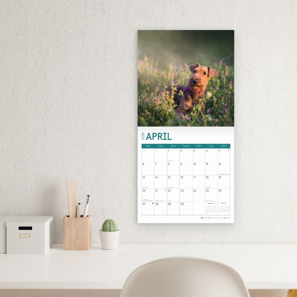 Airedale Terriers 2025 Wall Calendar