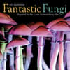 image Fantastic Fungi 2025 Wall Calendar Main Image