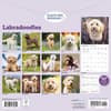 image Just Labradoodles 2026 Wall Calendar First Alternate Image