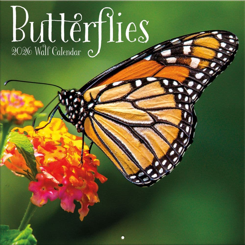 Butterflies Photo 2026 Wall Calendar_Main Image