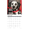 image Just Dalmatians 2025 Wall Calendar Second Alternate Image width=&quot;1000&quot; height=&quot;1000&quot;