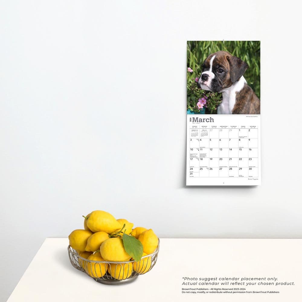 Boxer Puppies 2024 Mini Wall Calendar Third Alternate Image width=&quot;1000&quot; height=&quot;1000&quot;