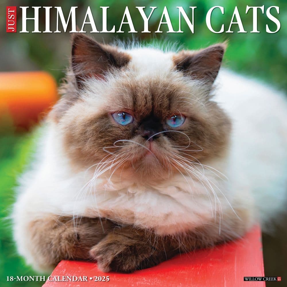 Himalayan Cats 2025 Wall Calendar Main Image