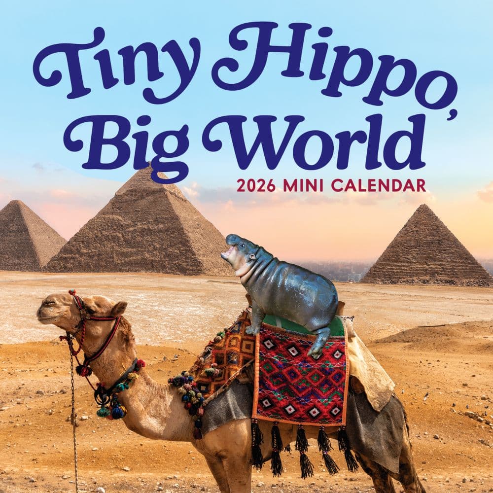 Tino Hippo Big World 2026 Mini Wall Calendar Main Product Image