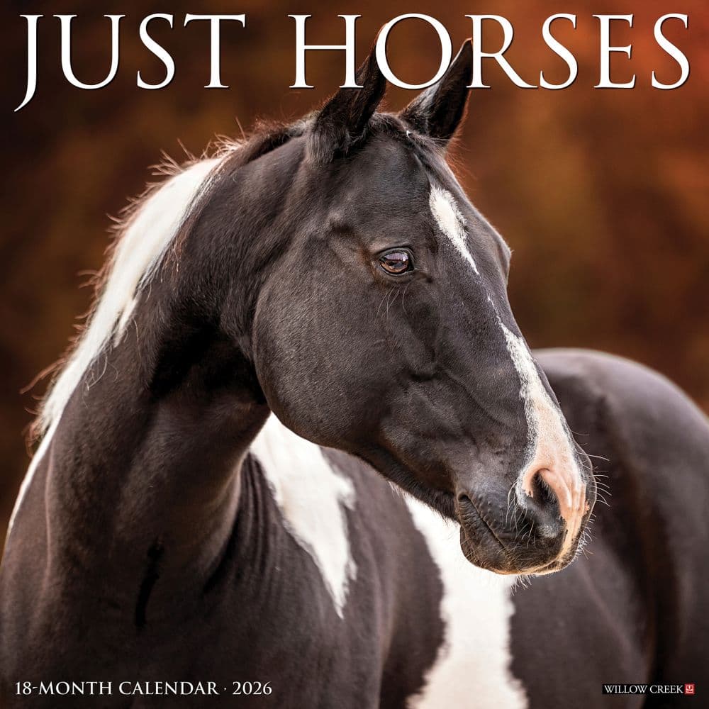 Just Horses 2026 Wall Calendar Main Image