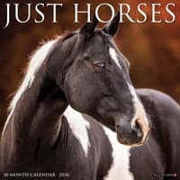 image Just Horses 2026 Wall Calendar Main Image