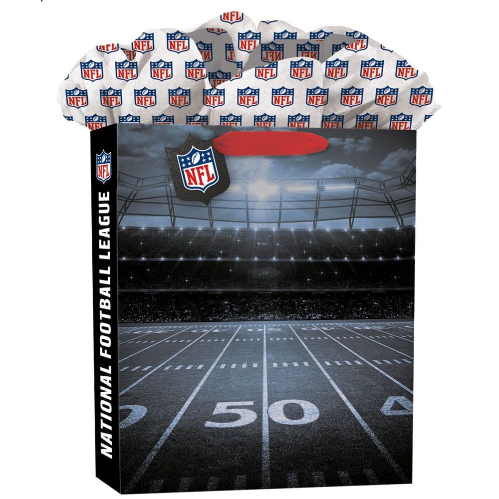 NFL Generic Lg GoGo Gift Bag