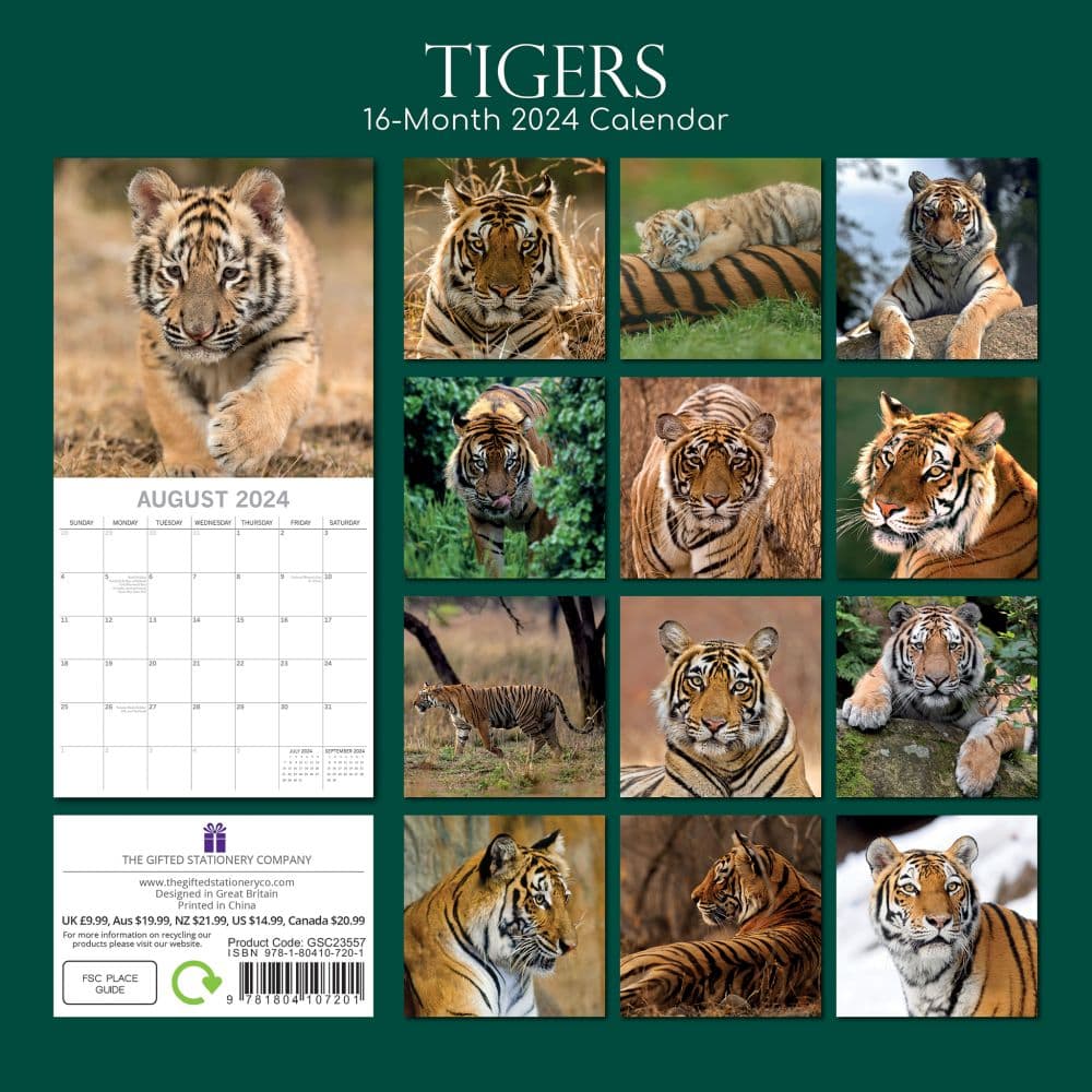 Tigers 2024 Wall Calendar