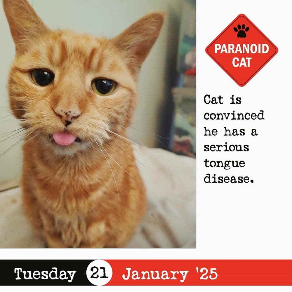 Bad Cat 2025 Page-a-Day Desk Calendar Third Alternate Image
