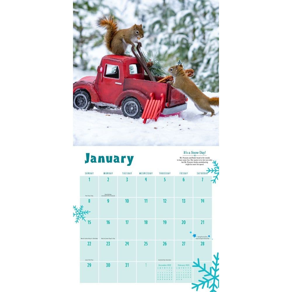 2023 Squirrel Calendar Secret Life Of Squirrels 2023 Wall Calendar - Calendars.com