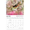 image Songbirds WWF 2026 Wall Calendar Third Alternate Image