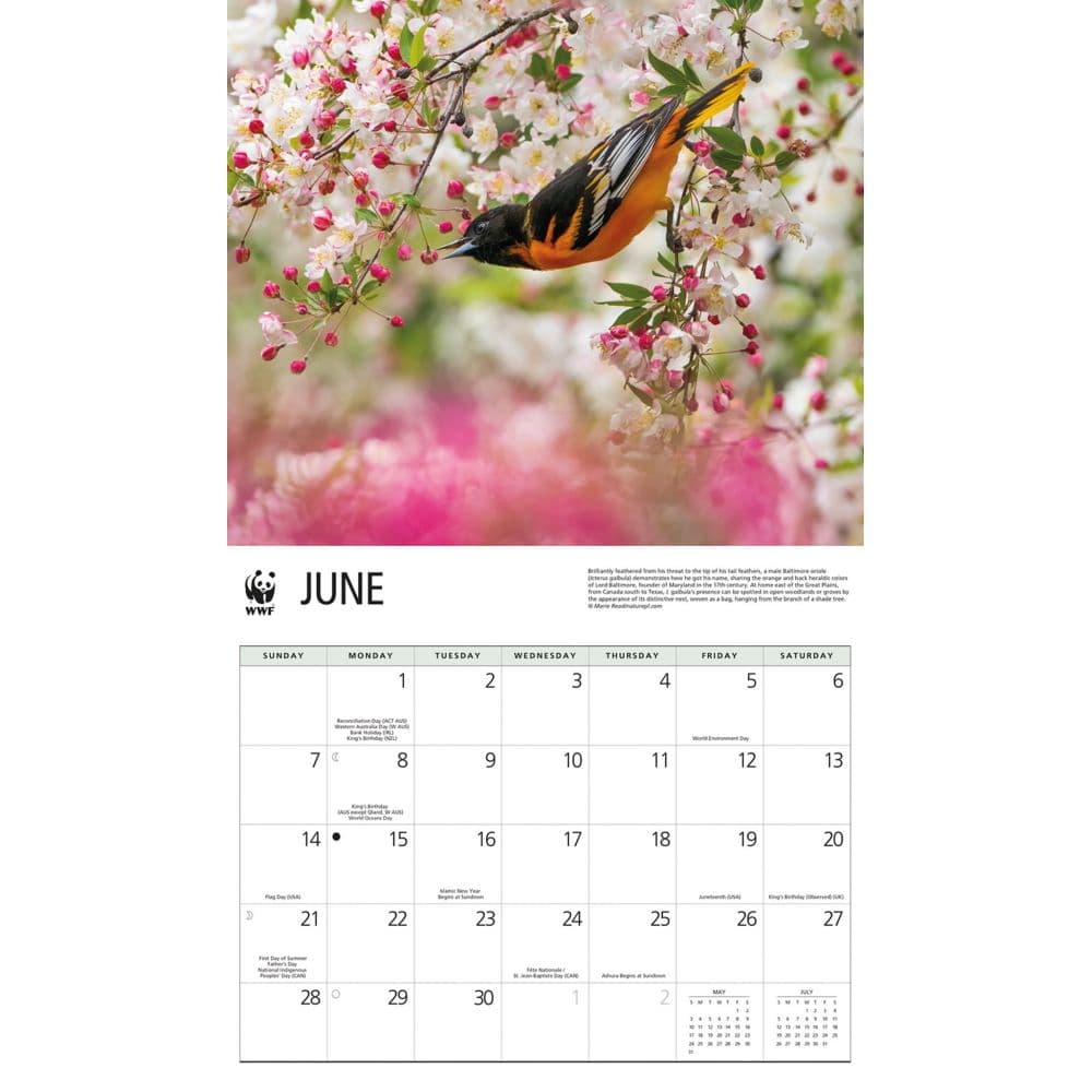 Songbirds WWF 2026 Wall Calendar Third Alternate Image