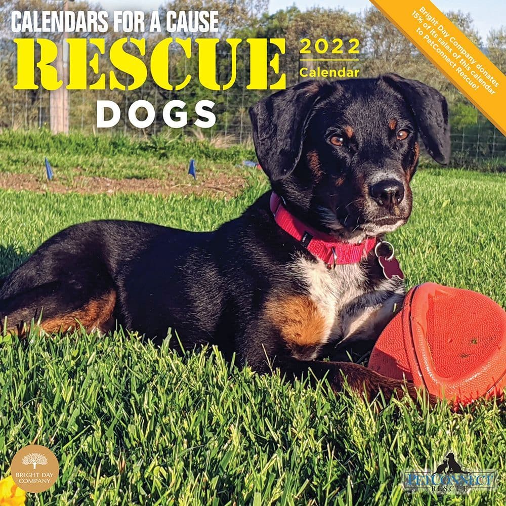Rescue Animals 2022 Calendar | Dog-Calendars.com