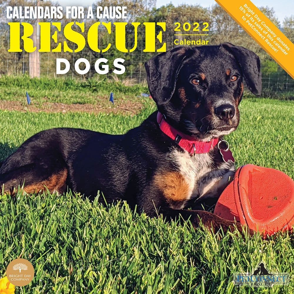 Rescue Dogs 2022 Wall Calendar - Calendars.com