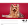 image Just Yorkies 2025 Desk Calendar Second Alternate Image