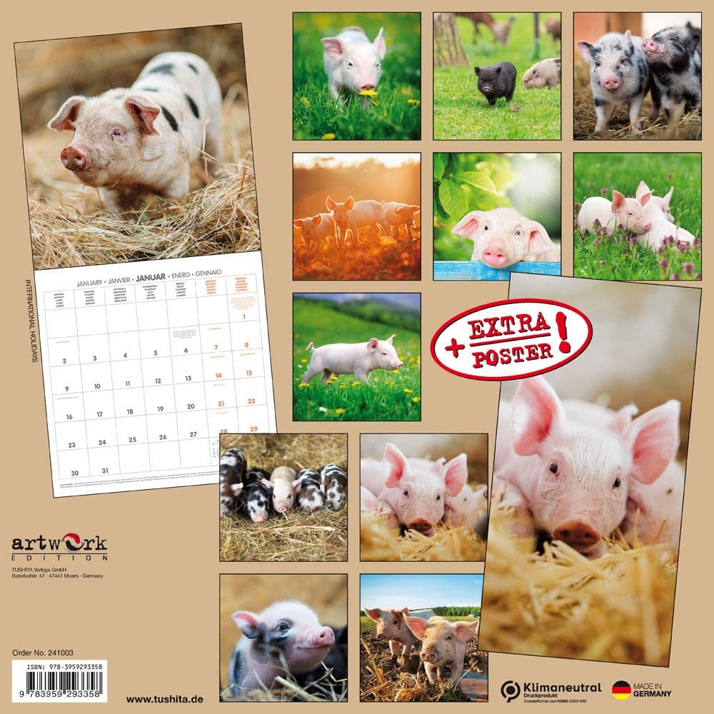 Piggies 2024 Wall Calendar Alt1