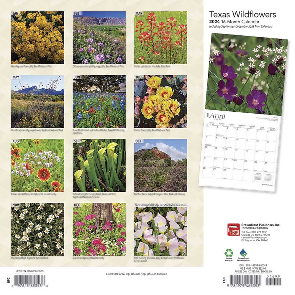 Texas Wildflowers 2024 Wall Calendar