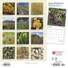 image Texas Wildflowers 2024 Wall Calendar First Alternate  Image width=&quot;1000&quot; height=&quot;1000&quot;
