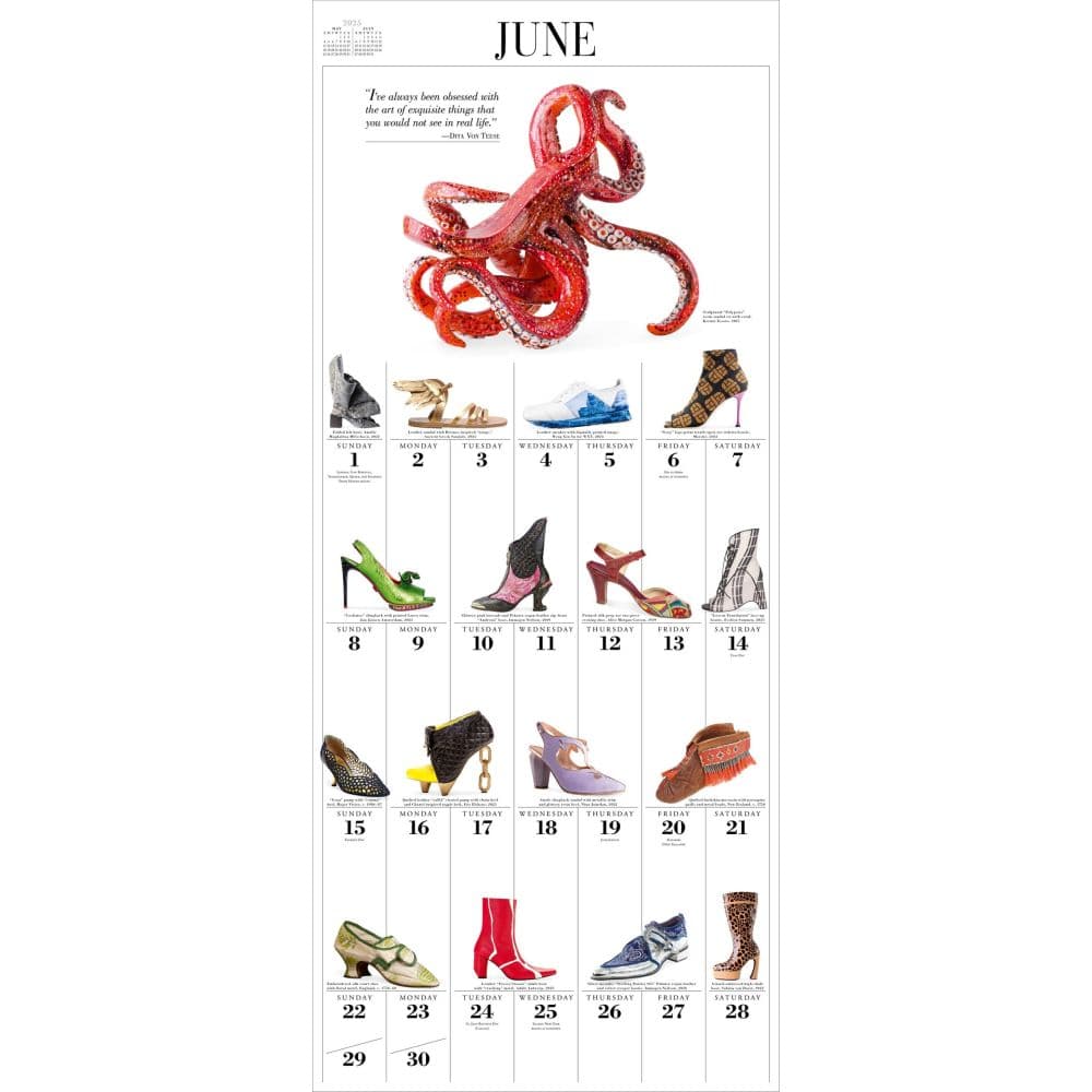 Shoes 365 2025 Wall Calendar Alt1